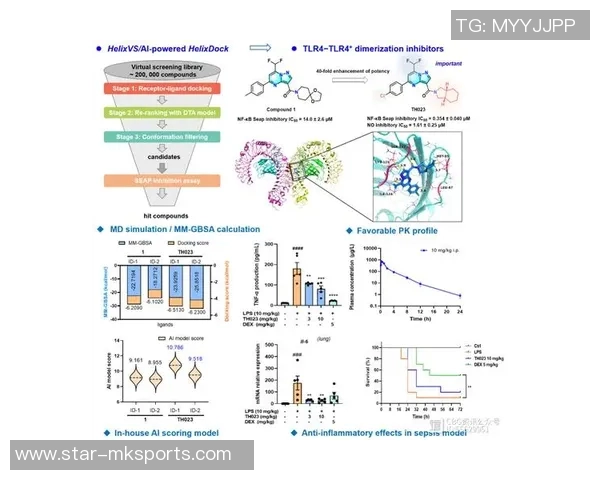 实时新闻南京排球队的反击革新之路重塑战术与团队精神的全新探索